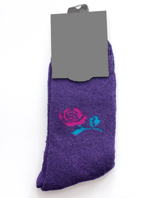 Носки и гольфы ISSA Plus модель NS-211_purple Фото