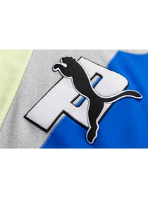 Худи и свитшоты PUMA x Split Crew модель 532418 Фото