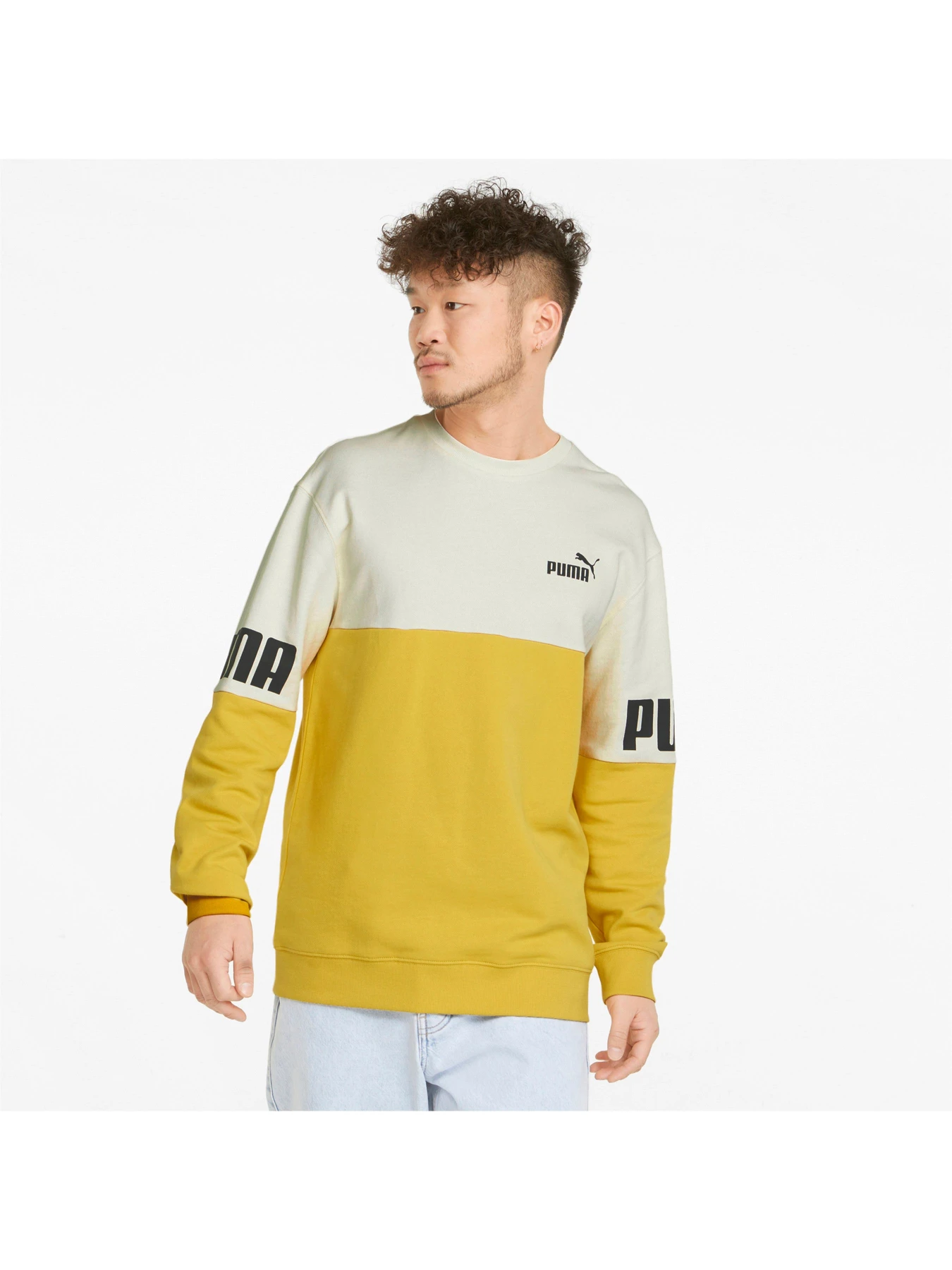 Худи и свитшоты PUMA модель 848008 Худи и свитшоты PUMA модель 848008 Фото