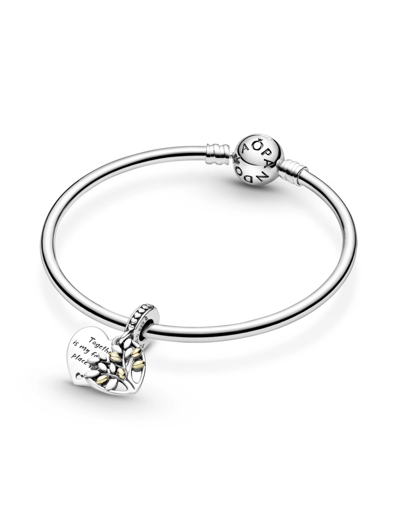 Классические PANDORA Moments модель 799161C00 Классические PANDORA Moments модель 799161C00 Фото