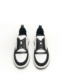 Кеди Alex Bell модель 1168663 Фото