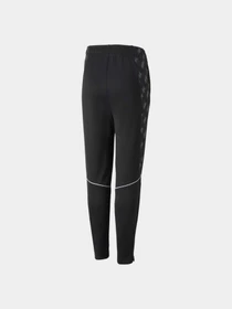 Брюки PUMA Active Sports Poly Pants модель 670084 Фото