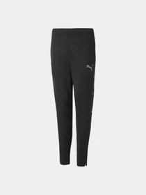 Брюки PUMA Active Sports Poly Pants модель 670084 Фото