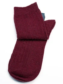 Шкарпетки та гольфи ISSA Plus модель NS-216_burgundy Фото