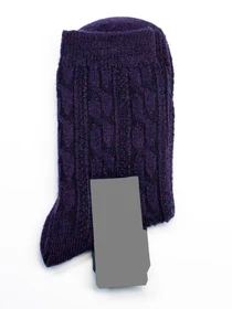 Шкарпетки та гольфи ISSA Plus модель NS-216_purple Фото