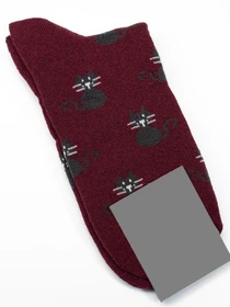 Носки и гольфы ISSA Plus модель NS-242_burgundy Фото