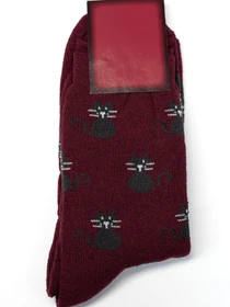 Носки и гольфы ISSA Plus модель NS-242_burgundy Фото