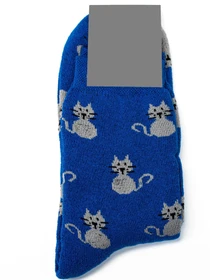 Шкарпетки та гольфи ISSA Plus модель NS-242_blue Фото
