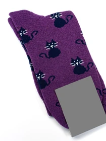 Носки и гольфы ISSA Plus модель NS-242_purple Фото