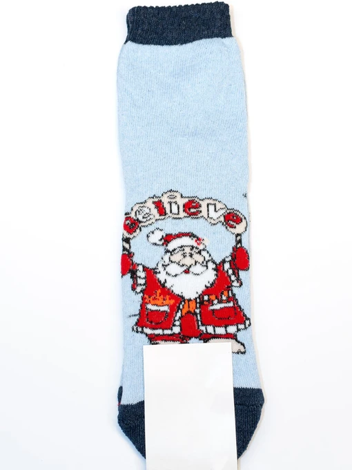 Носки и гольфы ISSA Plus модель NS-246_lightblue Фото