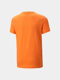Футболки и поло PUMA Fcsd Ftblcore Tee Jr модель 767260 Фото