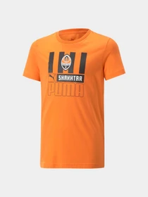 Футболки и поло PUMA Fcsd Ftblcore Tee Jr модель 767260 Фото