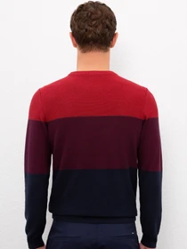 Худи и свитшоты US Polo модель G081GL0TK.000.1056170.VR033 Фото