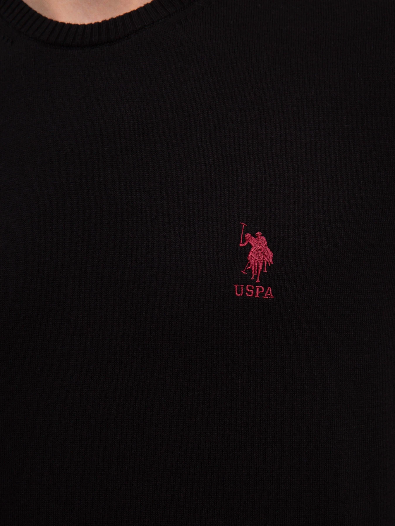 Свитры и кардиганы US Polo модель G081GL0TK.000.1080061.VR046 Свитры и кардиганы US Polo модель G081GL0TK.000.1080061.VR046 Фото