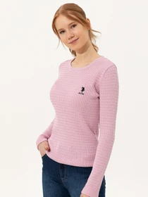 Худи и свитшоты US Polo модель G082SZ0TK.000.1430176.VR211 Фото