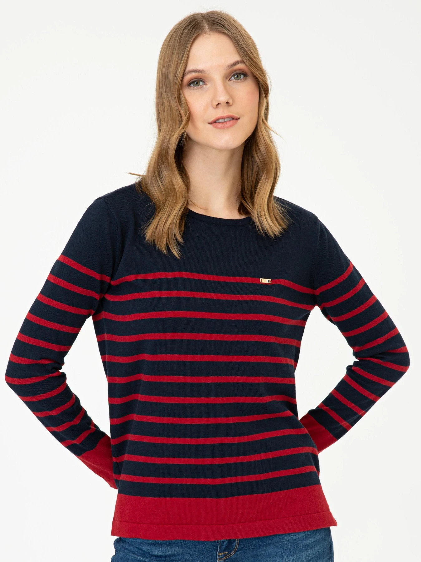 Худи и свитшоты US Polo модель G082GL0TK.000.1349905.VR033 Фото