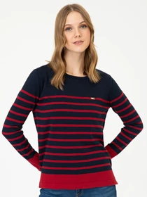 Худи и свитшоты US Polo модель G082GL0TK.000.1349905.VR033 Фото