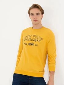 Худи и свитшоты US Polo модель G081GL082.000.1451937.VR043 Фото