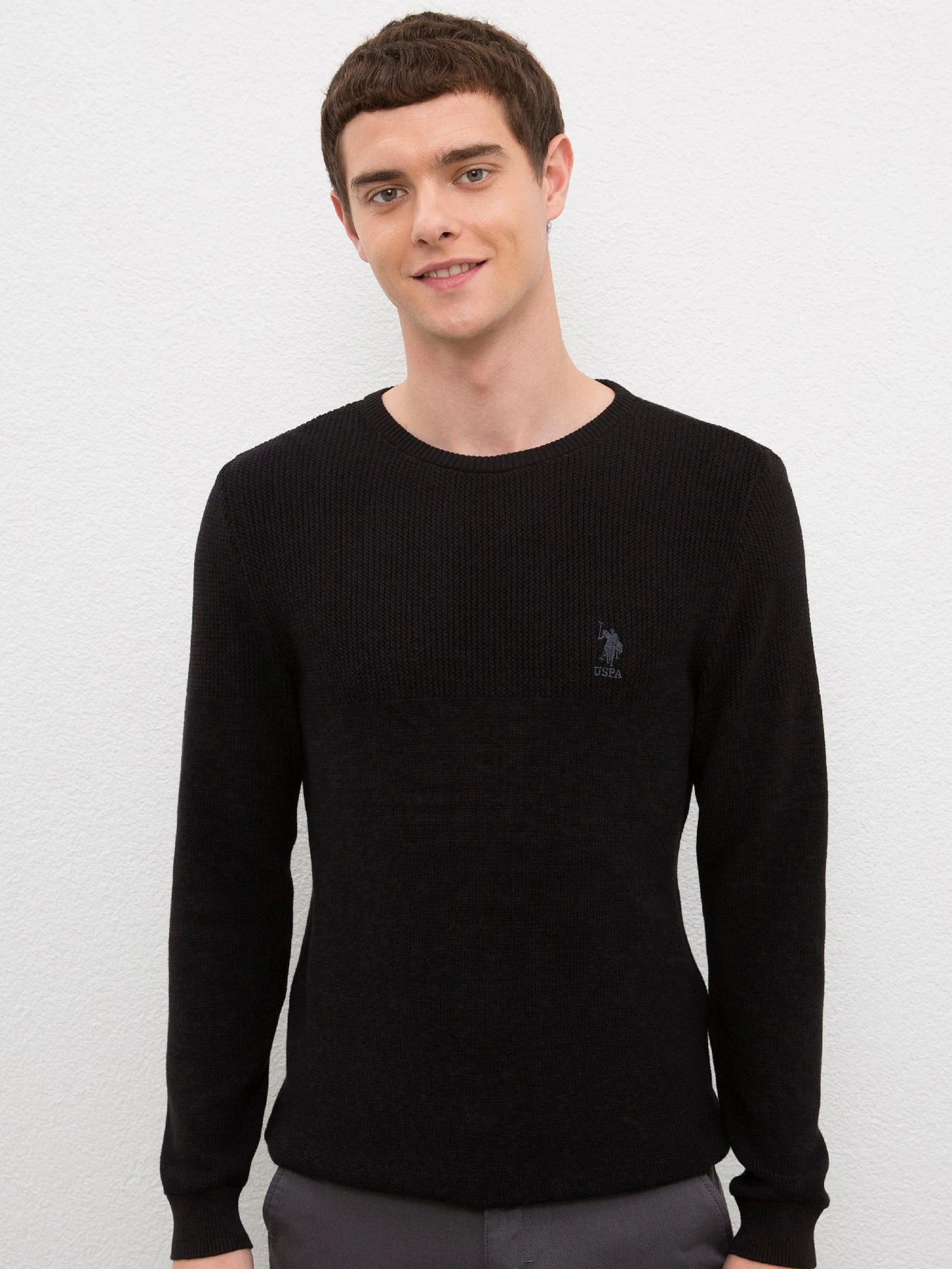 Свитры и кардиганы US Polo модель G081GL0TK.000.1056212.VR046 Свитры и кардиганы US Polo модель G081GL0TK.000.1056212.VR046 Фото