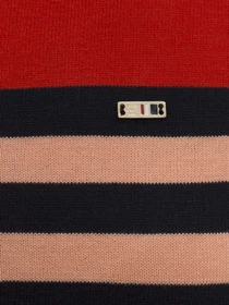 Худи и свитшоты US Polo модель G082GL0TK.000.1056885.VR031 Фото