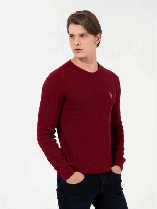 Свитры и кардиганы US Polo модель G081SZ0TK.000.1428937.VR014 Фото