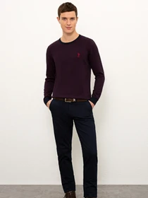 Свитры и кардиганы US Polo модель G081SZ0TK.000.1091120.VR033 Фото
