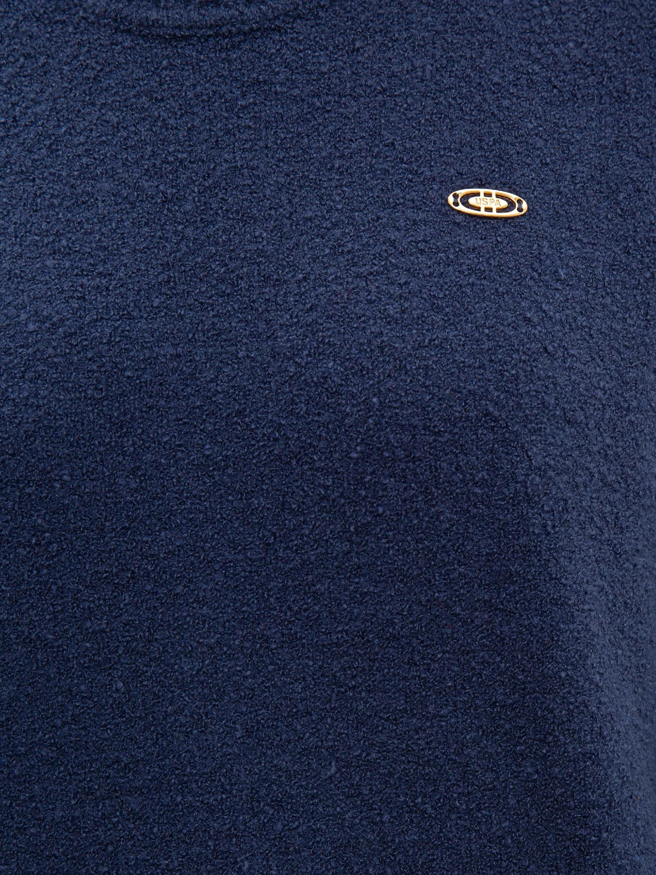 Худи и свитшоты US Polo модель G082SZ0TK.000.1083484.VR028 Фото