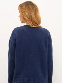 Худи и свитшоты US Polo модель G082SZ0TK.000.1083484.VR028 Фото