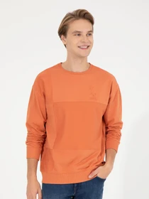 Худи и свитшоты US Polo модель G081SZ082.000.1454756.VR031 Фото