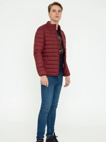 Куртки и дубленки US Polo модель G081GL0MS.000.1259833.KR0215 Фото