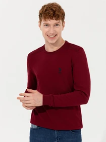 Свитры и кардиганы US Polo модель G081SZ0TK.000.1428974.VR014 Фото