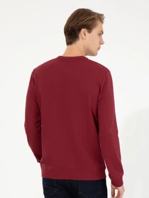 Худи и свитшоты US Polo модель G081SZ082.000.1454251.VR223 Фото