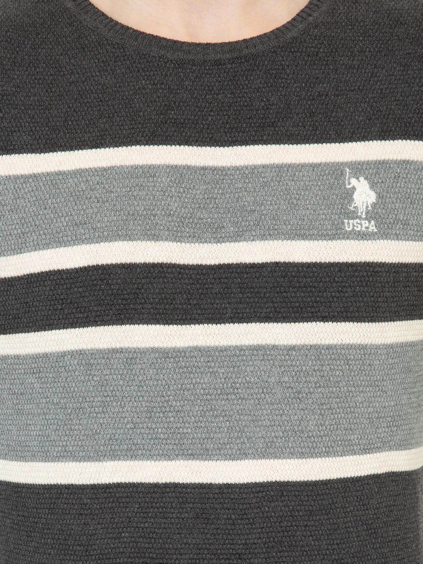 Свитры и кардиганы US Polo модель G081GL0TK.000.1255768.VR081 Свитры и кардиганы US Polo модель G081GL0TK.000.1255768.VR081 Фото