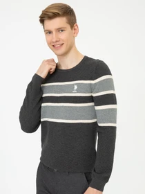 Свитры и кардиганы US Polo модель G081GL0TK.000.1255768.VR081 Фото
