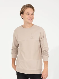 Худи и свитшоты US Polo модель G081SZ082.000.1454756.VR049 Фото