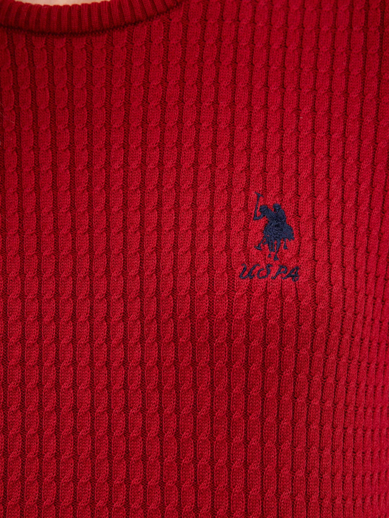Худи и свитшоты US Polo модель G082SZ0TK.000.1078704.VR030 Фото