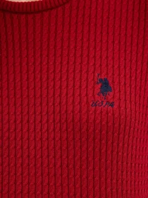 Худи и свитшоты US Polo модель G082SZ0TK.000.1078704.VR030 Фото