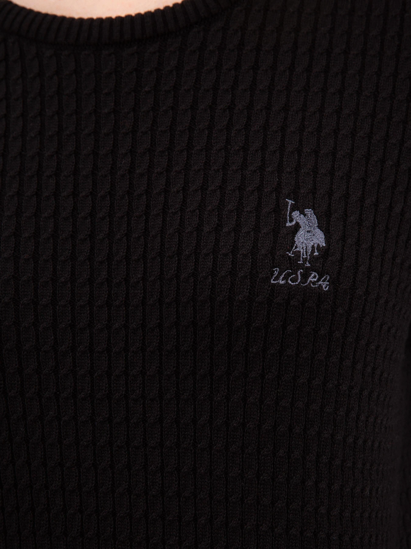 Худи и свитшоты US Polo модель G082SZ0TK.000.1078704.VR046 Фото