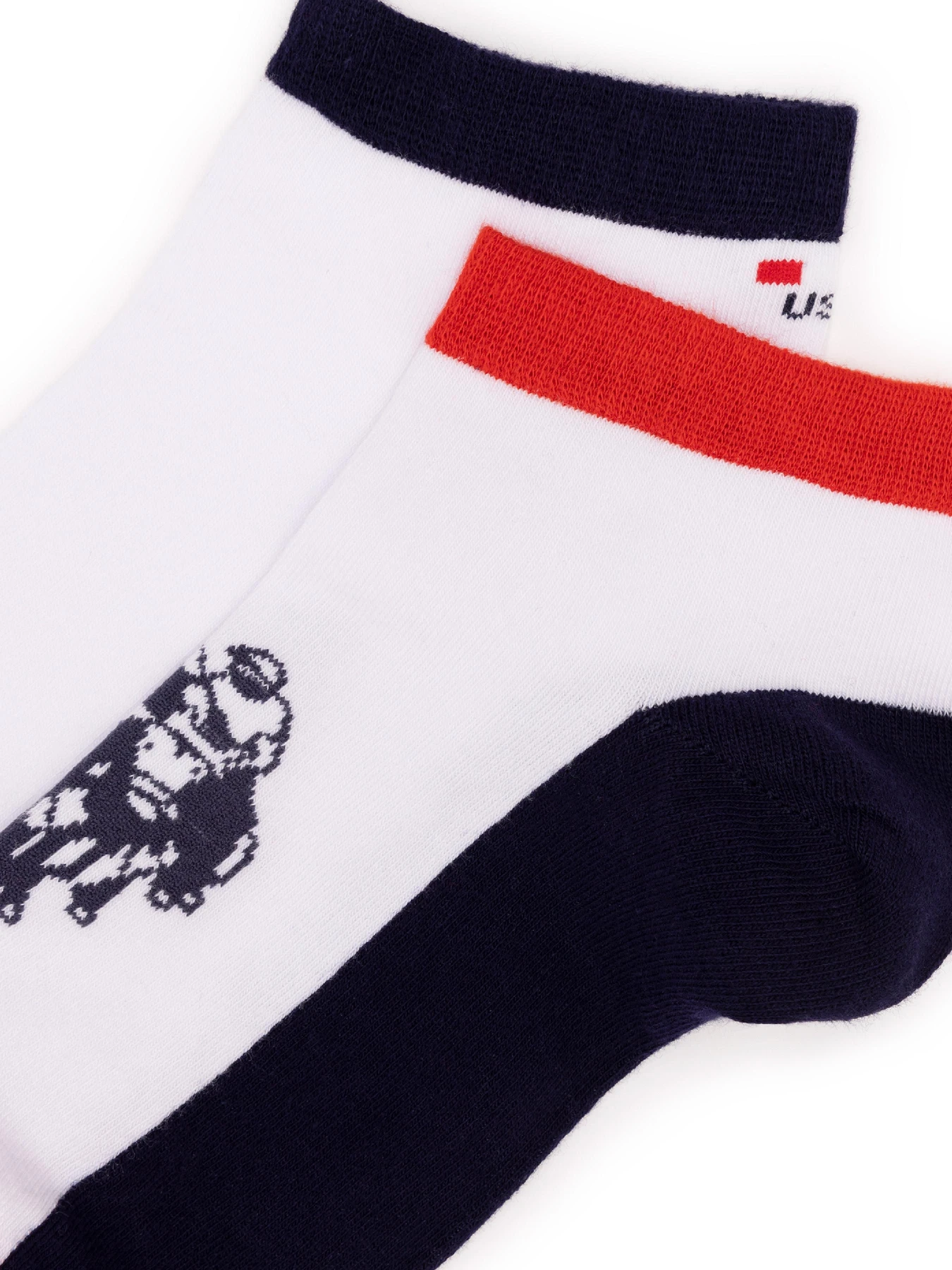 Носки и гольфы US Polo модель A081SZ013.P02.TAMAS-IY22.VR013 Фото