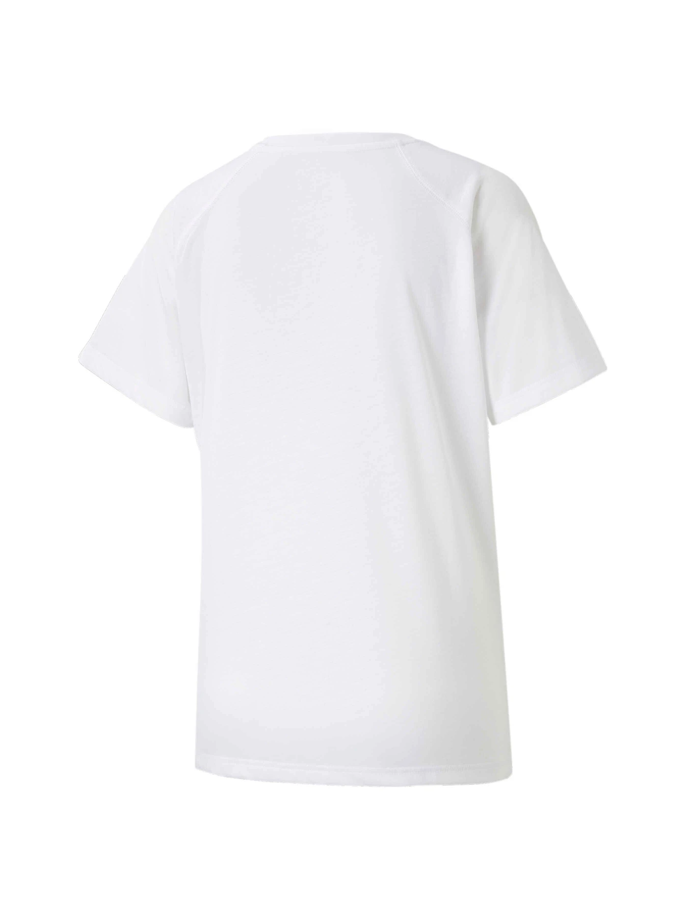 Футболки и поло PUMA Evostripe Summer Tee модель 848395 Футболки и поло PUMA Evostripe Summer Tee модель 848395 Фото