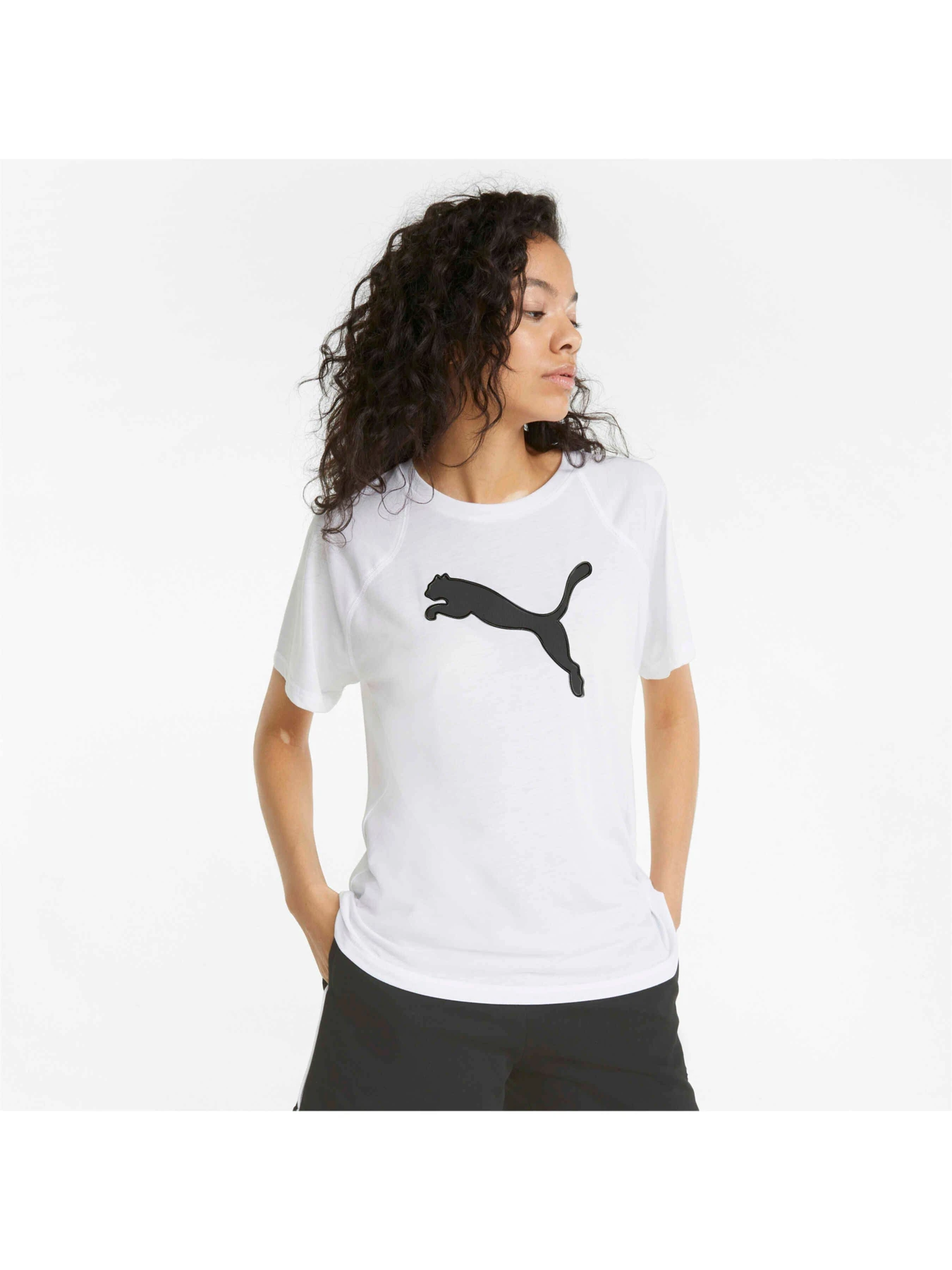 Футболки и поло PUMA Evostripe Summer Tee модель 848395 Футболки и поло PUMA Evostripe Summer Tee модель 848395 Фото