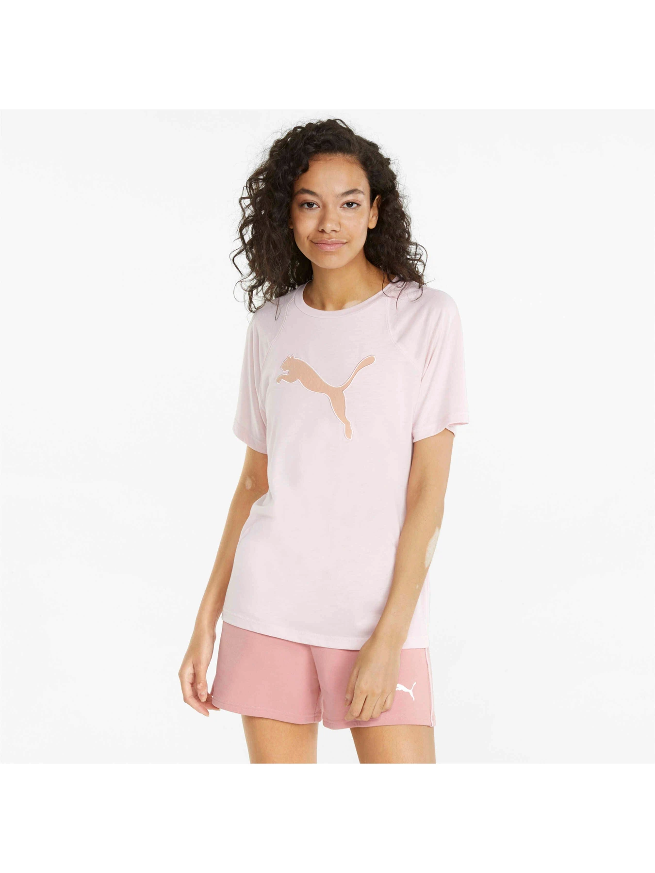 Футболки и поло PUMA Evostripe Summer Tee модель 848395 Фото