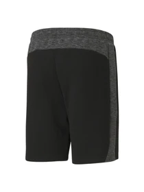 Шорти PUMA Evostripe Shorts модель 585815 Фото
