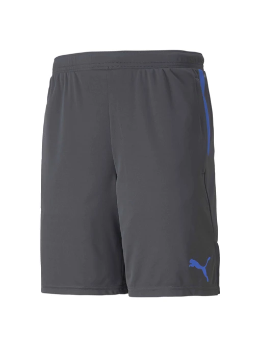 Шорти PUMA Individualcup Shorts модель 657546 Фото