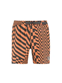 Одежда для пляжа PUMA Swim Men Psygeo Aop Mid модель 935059 Фото