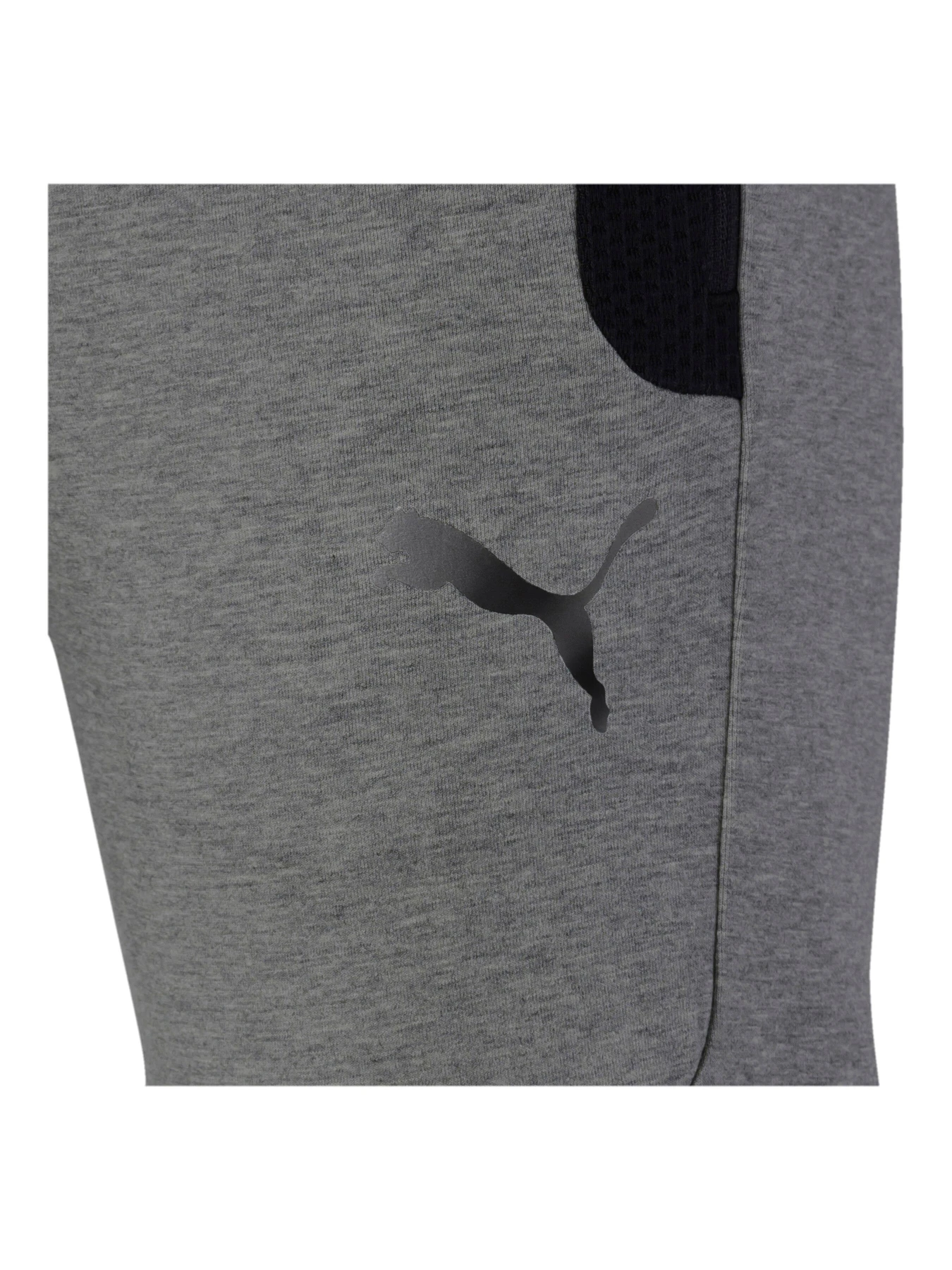 Штани PUMA модель 581496 Штани PUMA модель 581496 Фото