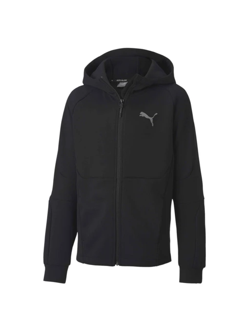 Худи и свитшоты PUMA Evostripe Full-zip Hoodie модель 583228 Фото