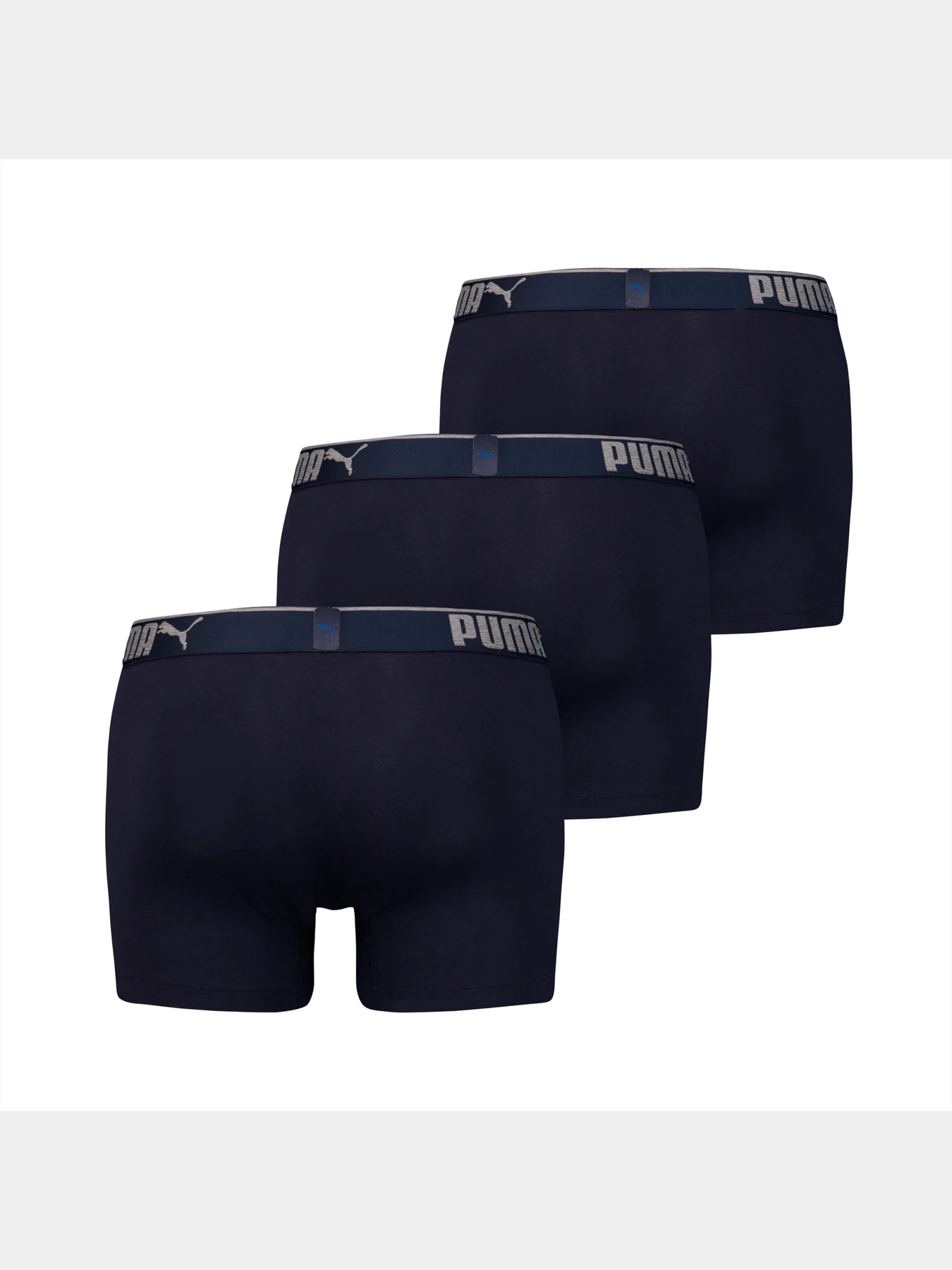Нижнее белье PUMA Lifestyle Sueded Cotton модель 907268 Фото