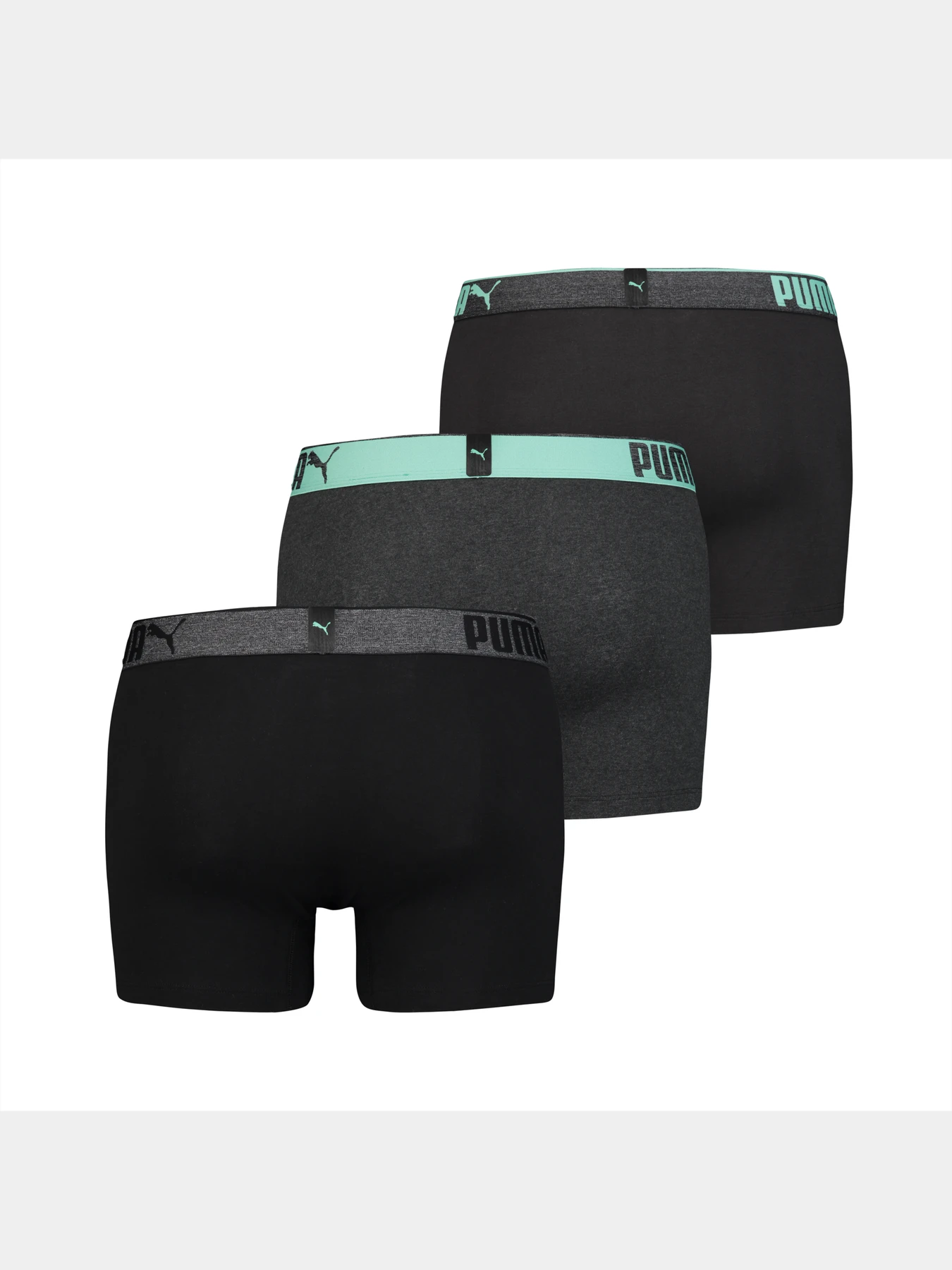 Нижнее белье PUMA Lifestyle Sueded Cotton модель 907268 Фото