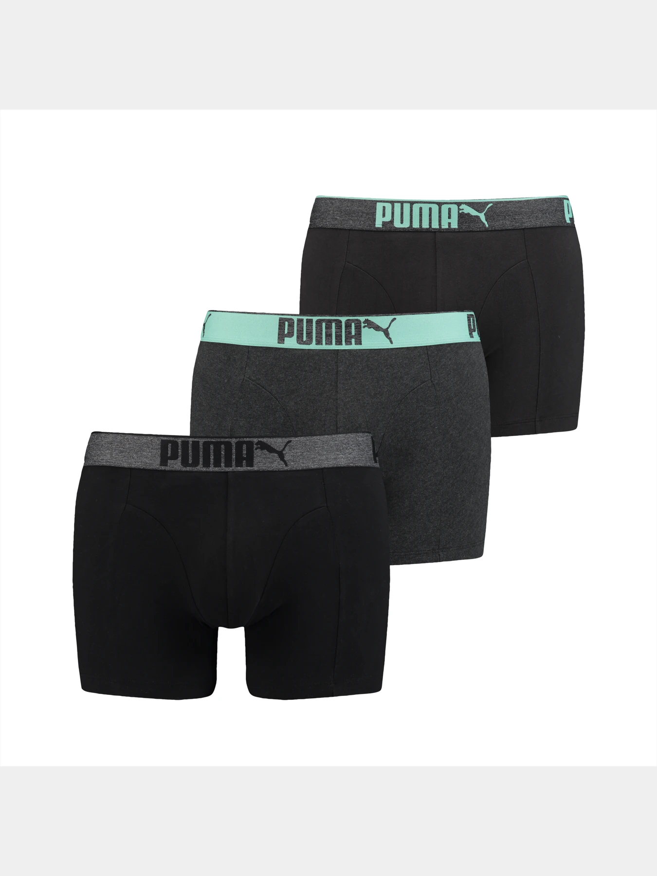 Нижнее белье PUMA Lifestyle Sueded Cotton модель 907268 Фото